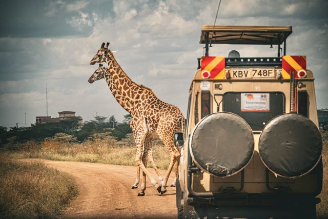 African-Safari